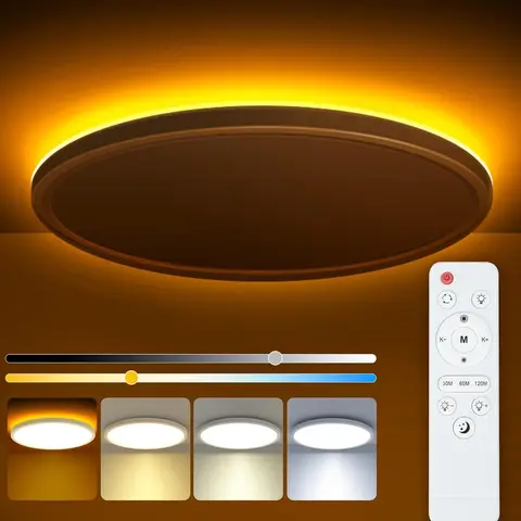 24W 2400LM LED 천장 조명 야간 조명 RGB/3000-6500K 침실 생활을 위한 원격 제어 천장 조명이 있는 디밍이 가능한 조명
