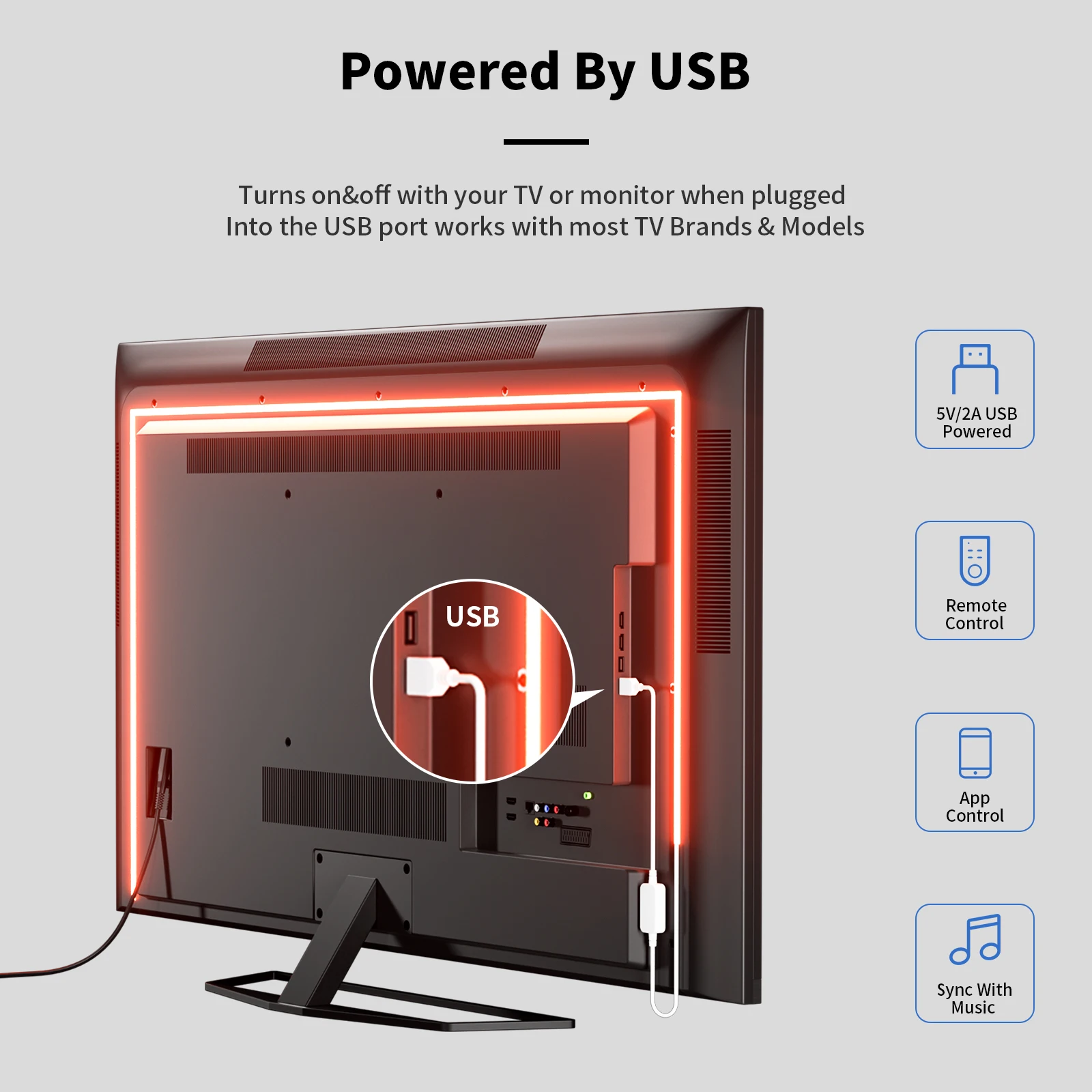 PAUTIX 5V USB RGB COB LED Strip Light 816LED ad alta densità Bluetooth APP telecomando flessibile dimmerabile striscia luminosa per la decorazione