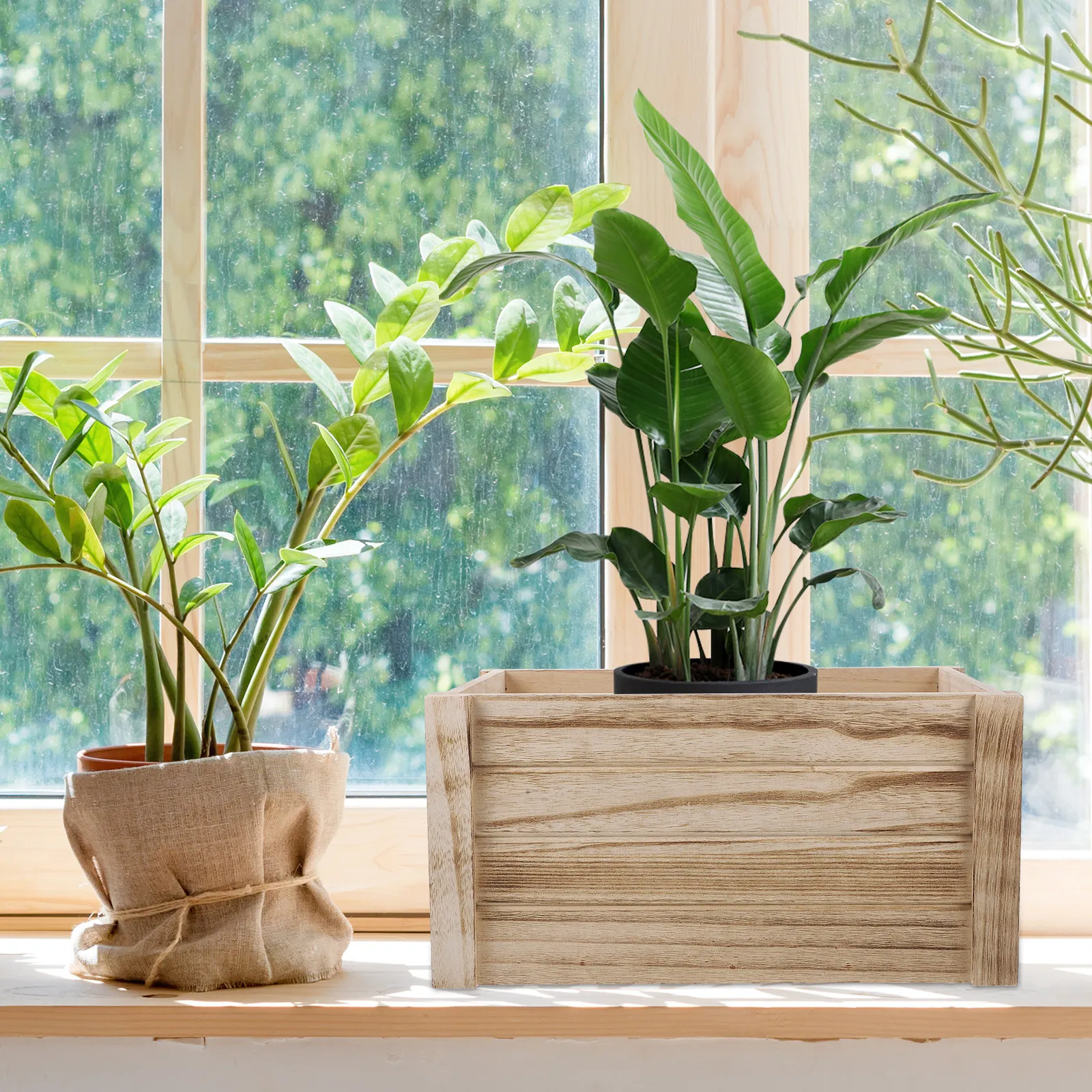 

Прямоугольный ящик-кашпо из массива дерева для суккулентов, винтажный деревенский стиль, идеально подходит для комнатных садов и декоративных композиций