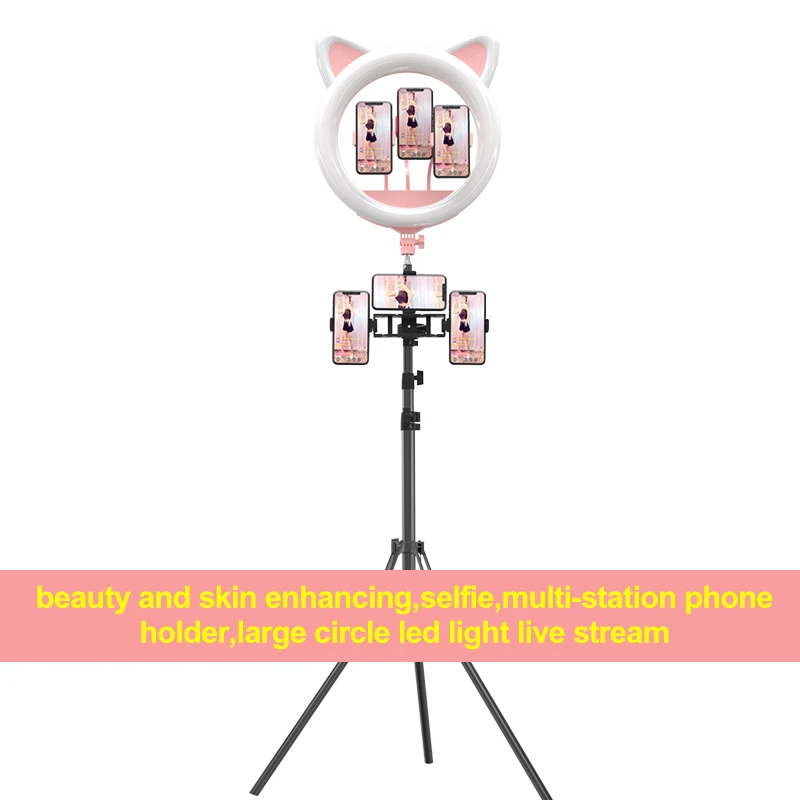 20 Inch LED Selfie Ring Light Cat Ear Dimmable 10 Level Photography Lighting for Makeup Video Youtube Studio Light Pink