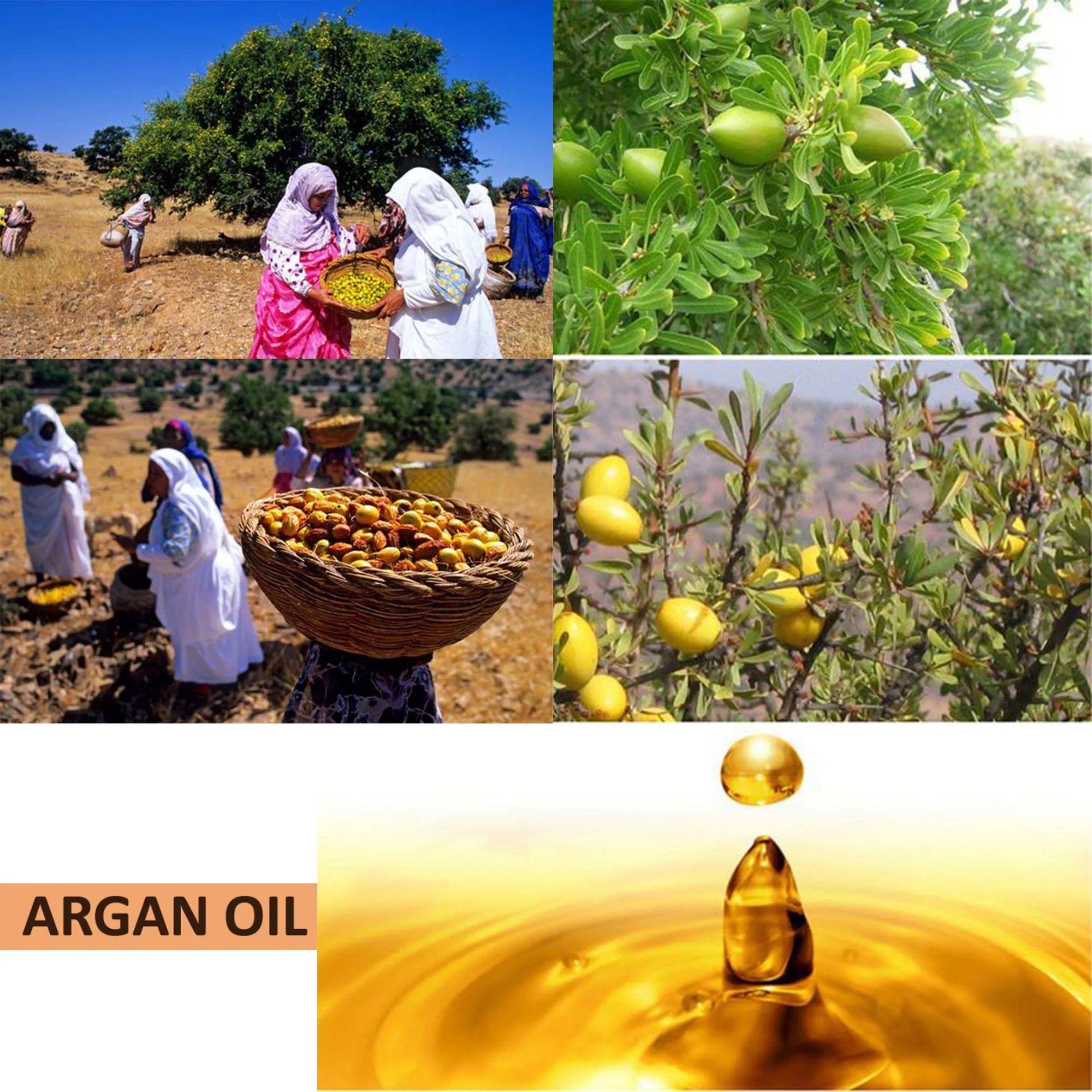 50 ml North African Tropical Rosemary Argan Oil Castor Hair Hot Oil Scalp & Hair Roots Strengthening