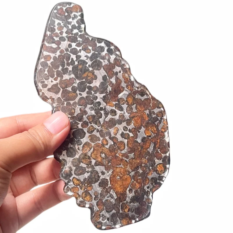 31.1g Sericho Pallastie meteorite slice Olivine Meteorite Natural Specimen Meteorite material Collection - from Kenya -QA822