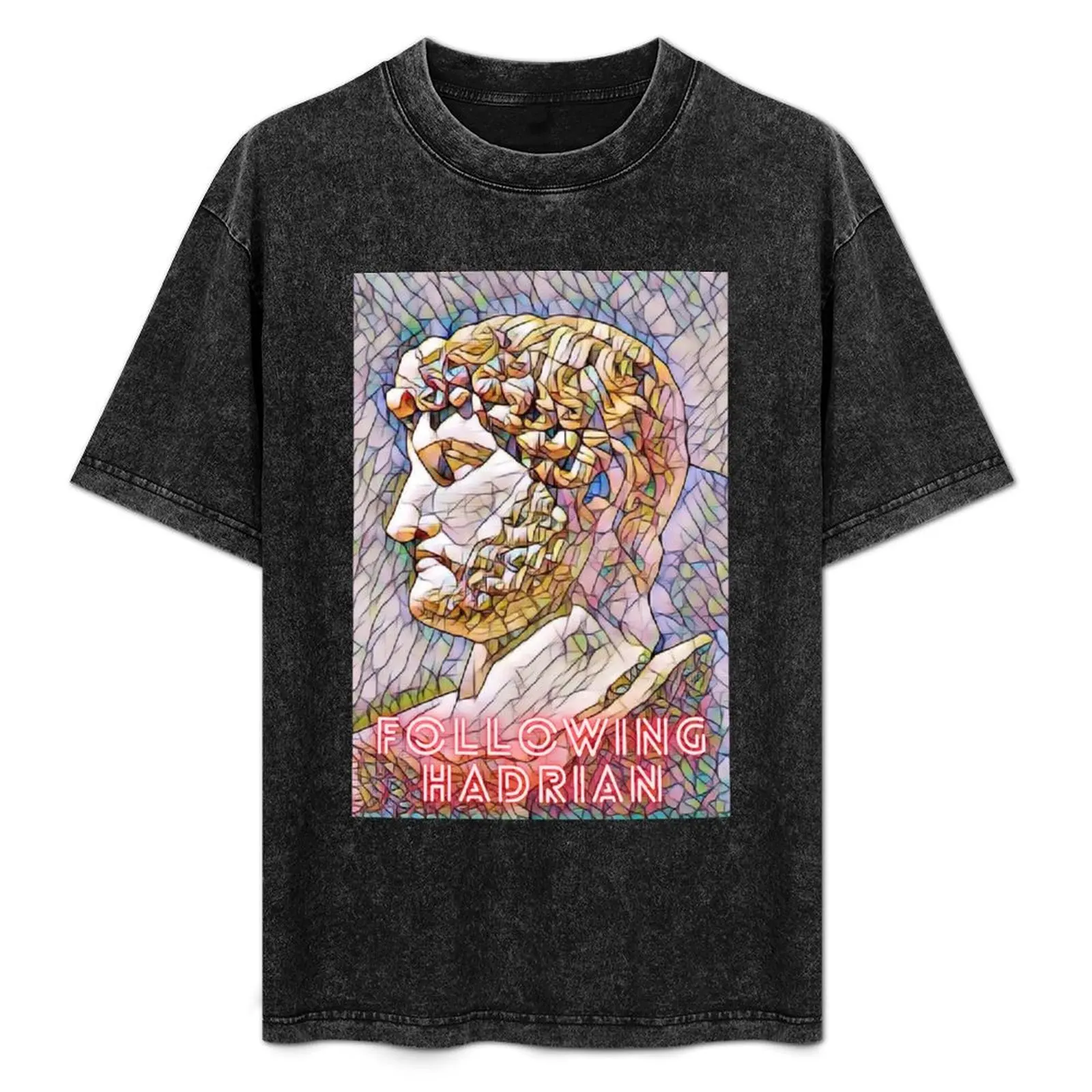 Camiseta Lets follow The Hadrian, camiseta informal básica de color liso