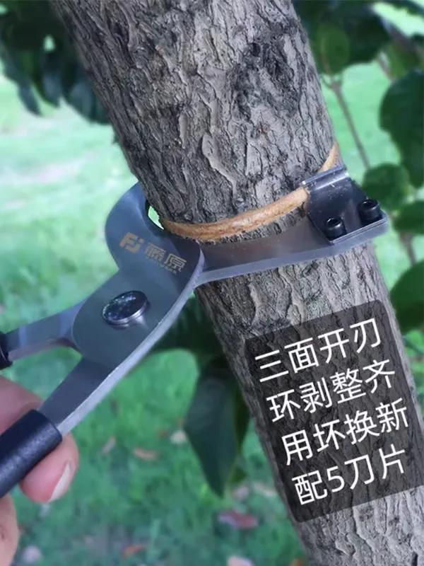 Tengyuan Ring Cutting Knife Ring Peeling Scissor Forcing Fruit Tree Peeling Knife Garden Tools Cutting Tree Peeling Knife