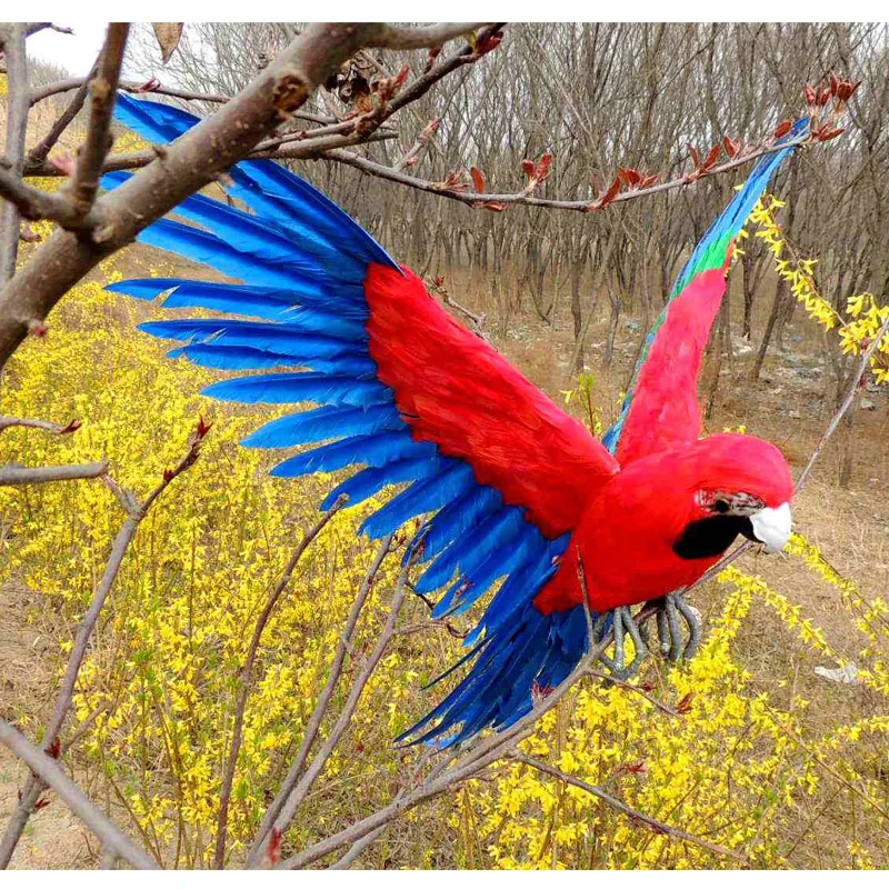 real life wings parrot model foam&feather red&blue parrot gift about 45x60cm d0181