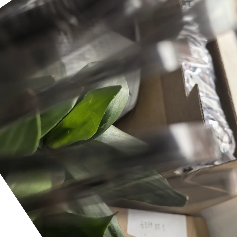 

20pc Encoder strip for canon PIXMA G2800 G1000 G2000 G2400 G3411 G3415 G2411 G3000 G1500 G2500 G3500 G3400 G3411 QC3-3935