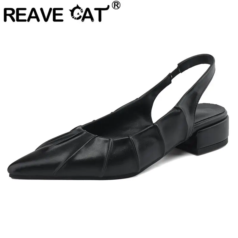 

REAVE CAT Brand Summer Women Sandals Pointed Toe Low Heels 3cm Back Strap Slip On Big Size 42 43 Elegant Female Daily Soft Shoes