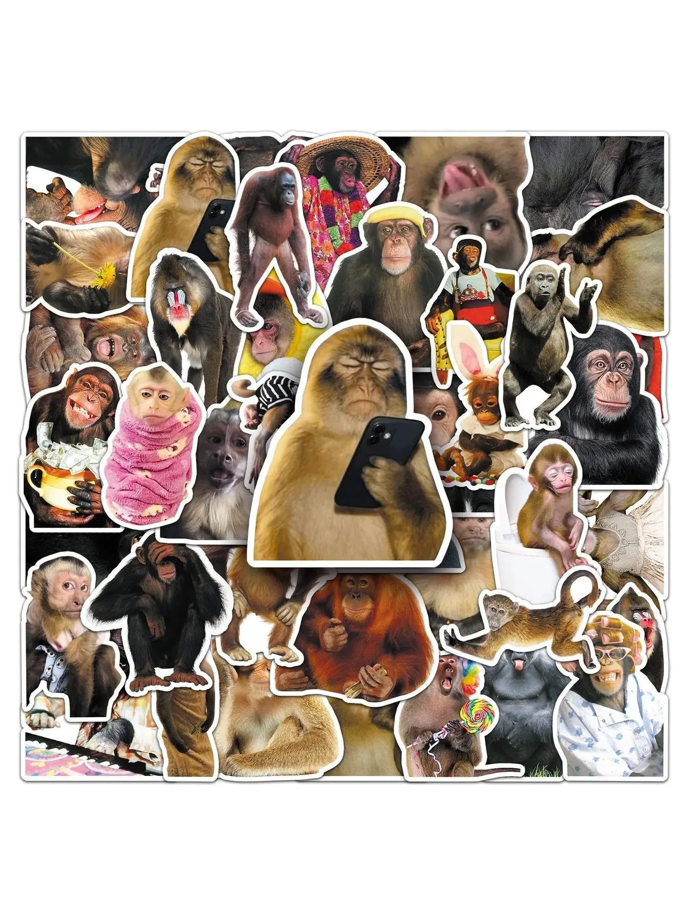 50Pcs Funny Monkey & Orangutan Doodle Stickers, Waterproof Vinyl Decals for Laptop Notebook Helmet Motorcycle Suitcase