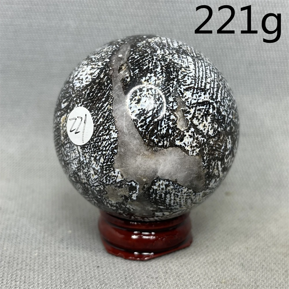 Brazilian Bone agate Crystal Ball Symbiosis Jurassic Dinosaur Black skeleton Home Room Decoration Holiday Gift Crystal Healing