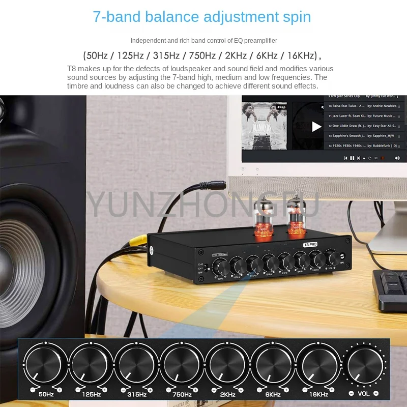 Fever level balanced output gallbladder pre stage multi band EQ adjustment 7-band electronic tube audio XLR preamplifier