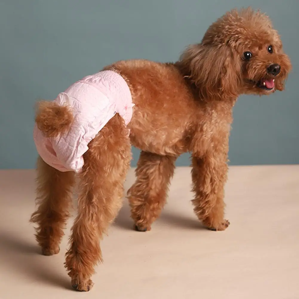 10Pcs Dog Diapers with Tail Hole Super Absorbent Leak-proof Female Puppy Diapers Underwear Physiological Breathable Pants