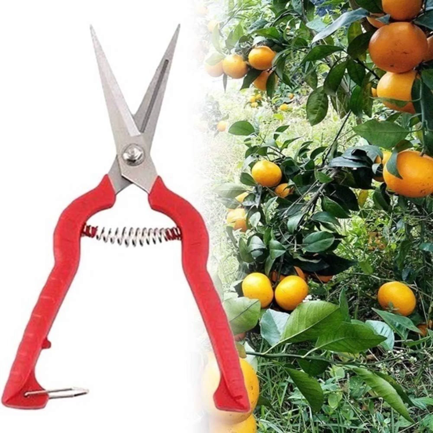 Gardening Hand Pruner Pruning Shear,Plant Pruning Scissors Garden  Gardening  Tools Grass Flower Shears Secator Grafting pruner 