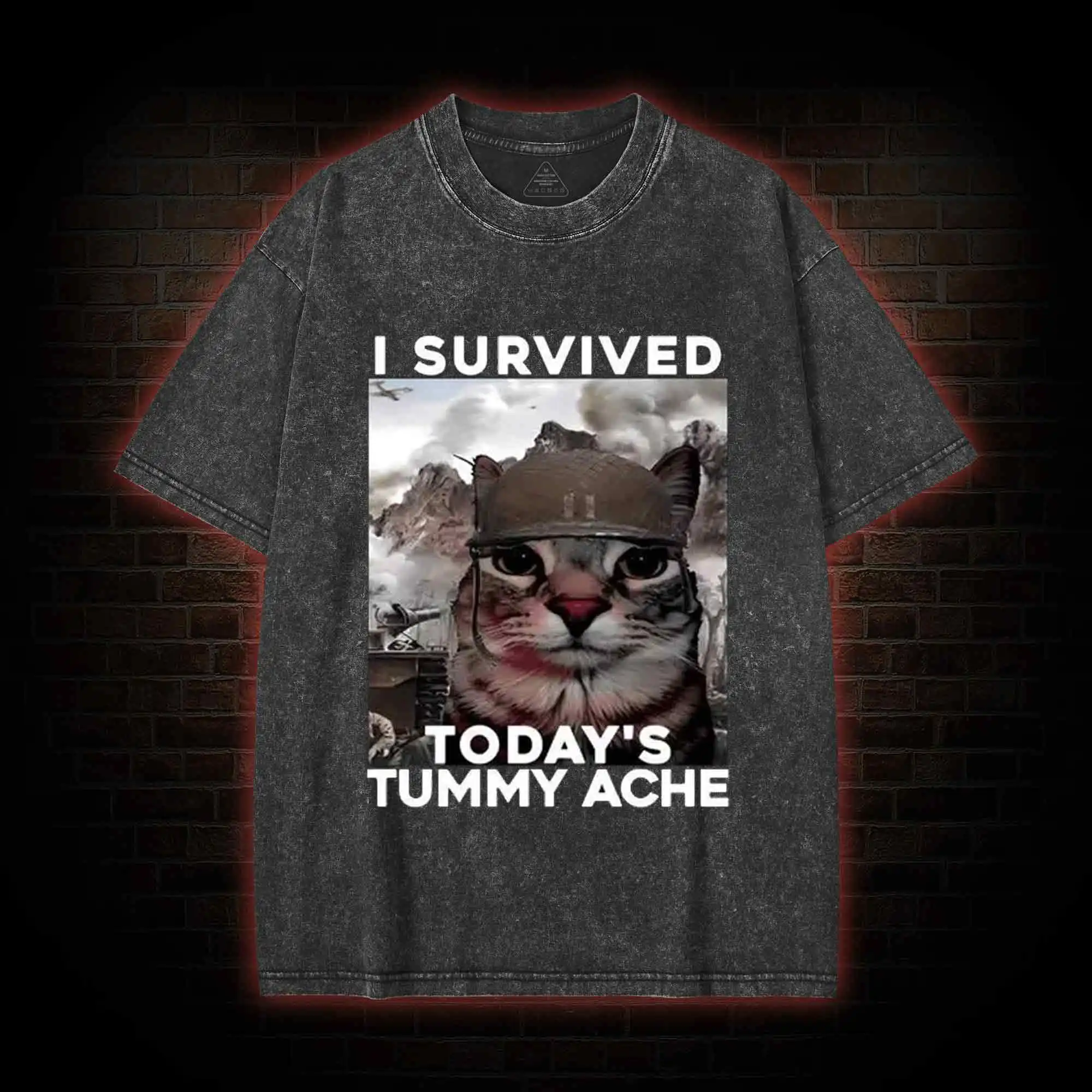 

I Survived Today's Tummy Ache Washed T-shirt Comfort Colors Crewneck Gift for Him or Her Unseix Oversize Harajuku Tee