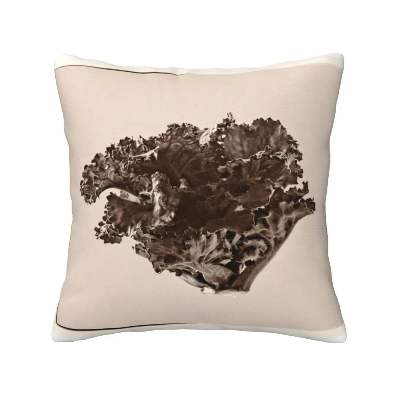 Plant Form 76 Throw Cushion Pillow Cover Plants Nature Natural Forms Botany Botanical Blossfeldt Vintage Monochrome Sepia