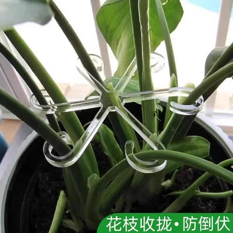 Juego de 8 piezas de Clips de soporte para tallo de planta, fijador de soporte de bambú con parte trasera de tortuga para planta