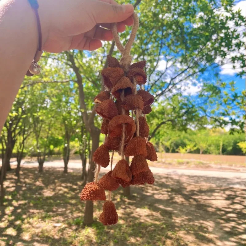 campane-di-guarigione-del-suono-guscio-di-litchi-fatto-a-mano-campanella-di-vento-meditazione-campane-da-giardino-all'aperto-yoga-strumenti-musicali-professionali
