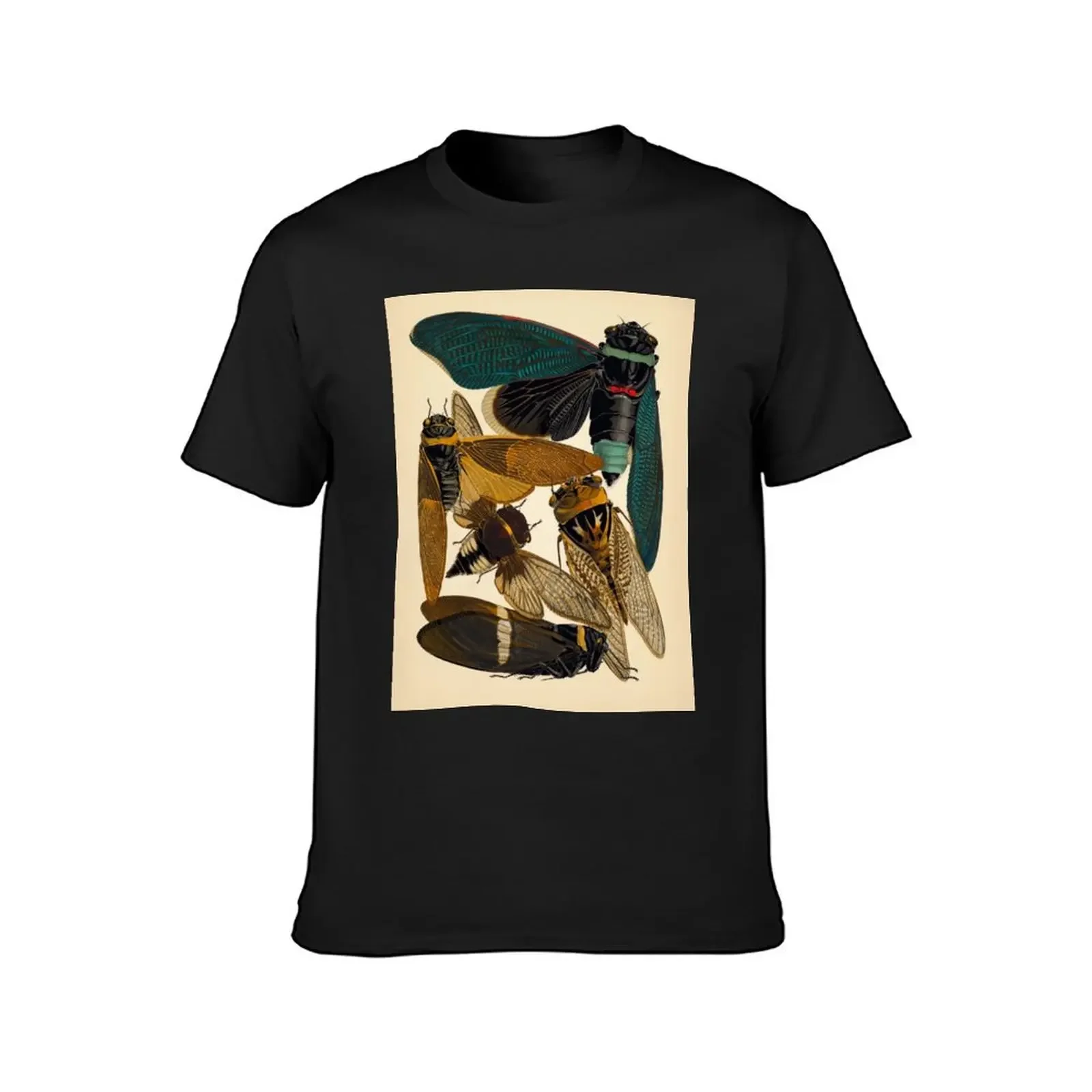 Vintage Cicadas T-Shirt graphic tee shirt aesthetic clothes T-shirts man t shirts for men graphic