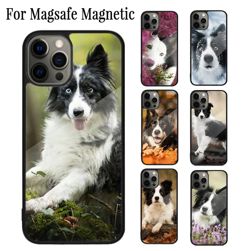 Magnetyczne etui na telefon Border Collie Dog Coque do iPhone'a 16 15 14 Plus 13 12 Mini 11 Pro Max Magsafe Wireless Charging Cover