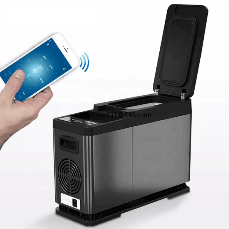 

Advanced 8L car freezer mini refrigerator with mobile phone Wireless charging function and App