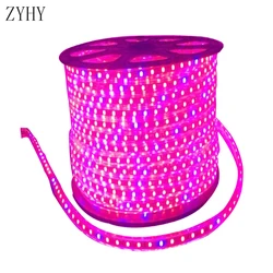 100M 10M LED Plant Grow Lights Strip Full Spectrum IP67 Waterproof AC220V For Greenhouse Hydroponic Seed VEG Flower Phyto Lamp