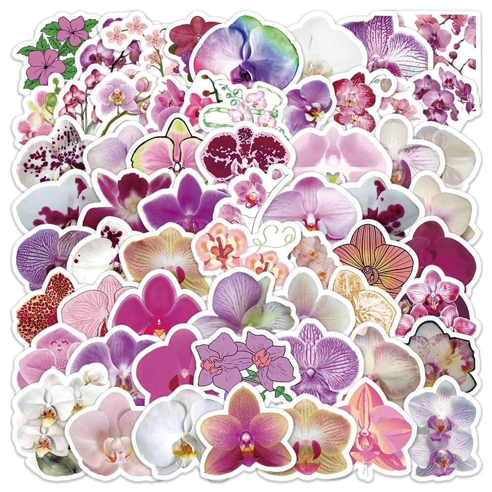 10/30/60PCS Phalaenopsis aphrodite Rchb. f Stickers Decal Decoration Suitcase Scrapbook Phone Laptop Stationery Cool Kid Sticker