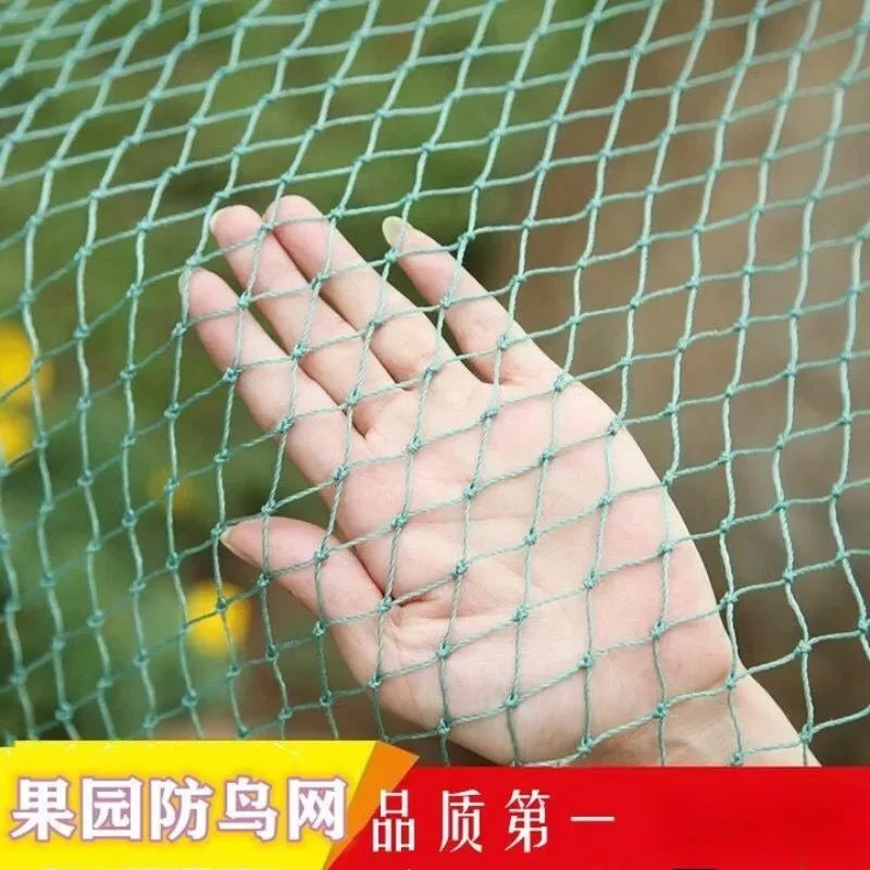 Fruit tree anti-bird net Orchard nylon grape cherry breeding Duck net - (2cm hole) 10 meters wide 100 meters long + binding rope