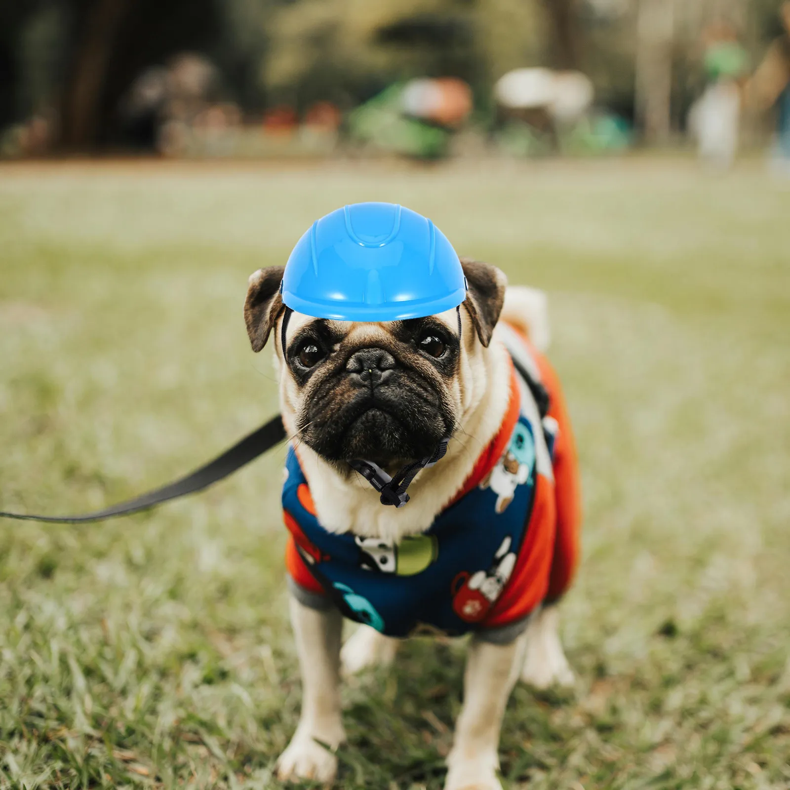 

Small Dog Adjustable Pet Motorcycle Pet Safety Hard Hat Chin Strap Puppy Yorkie Pomeranian Chihuahua Outdoor