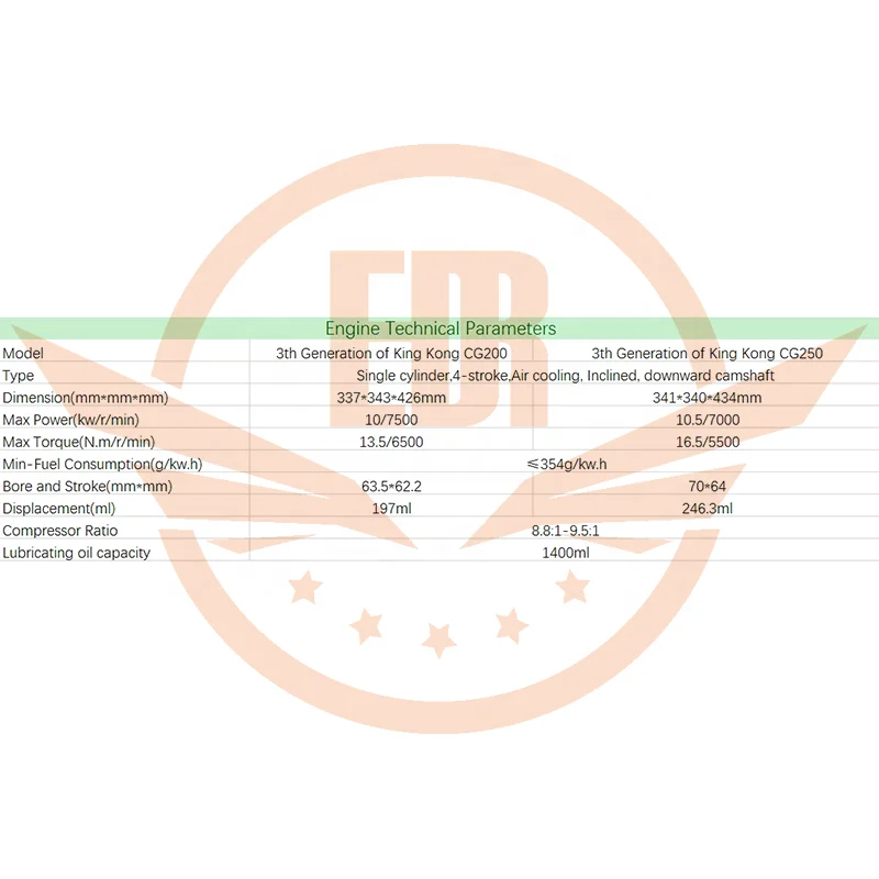EDR ZS CG200 CG250 4-takt motorfietsmotor