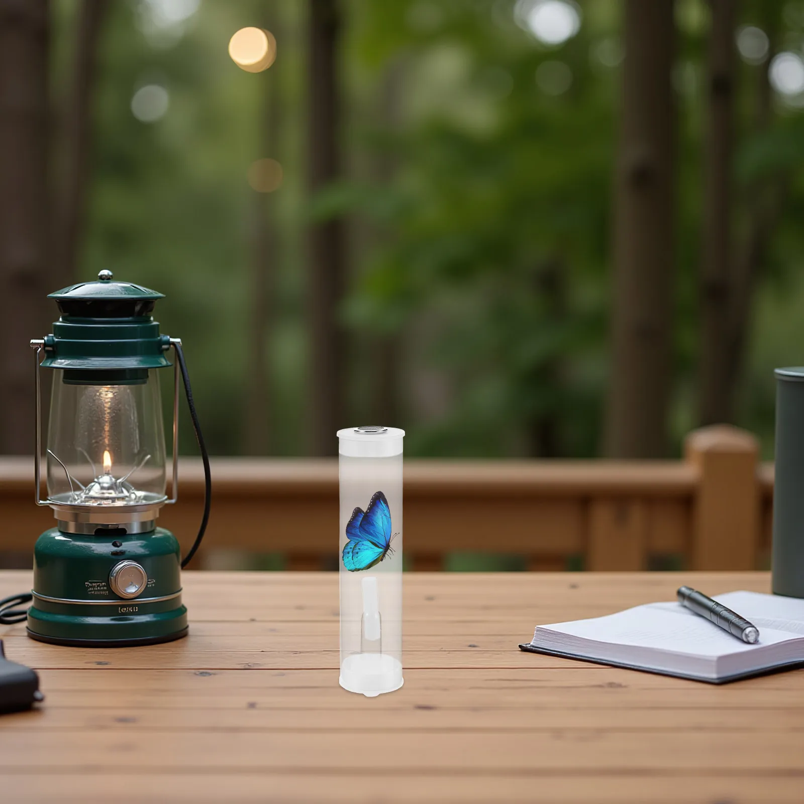 

10 Sets Tube Bug Container Cricket Children's Collector Transparent Containers