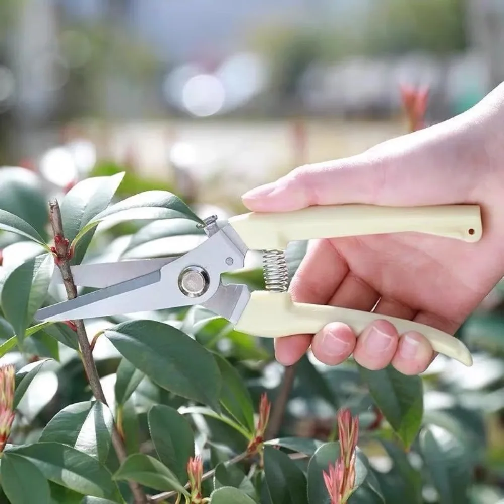 5pcs Pruning Fruit Tree Pruning Shears Gardening Garden Pruning Flower Branches