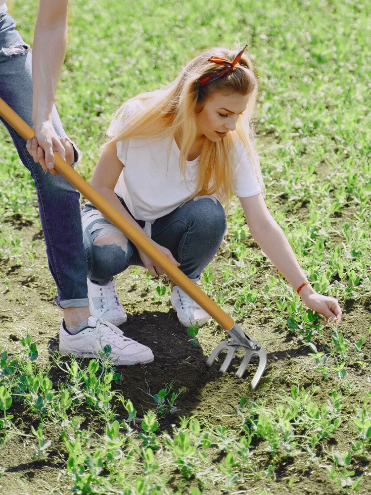 Imagem -05 - Ferro de Jardinagem Enxada Ancinho de Erva Daninha Ferramentas Agrícolas Grading Loosening Solo Artefato Harrow Ferramenta Agrícola Dropshipping