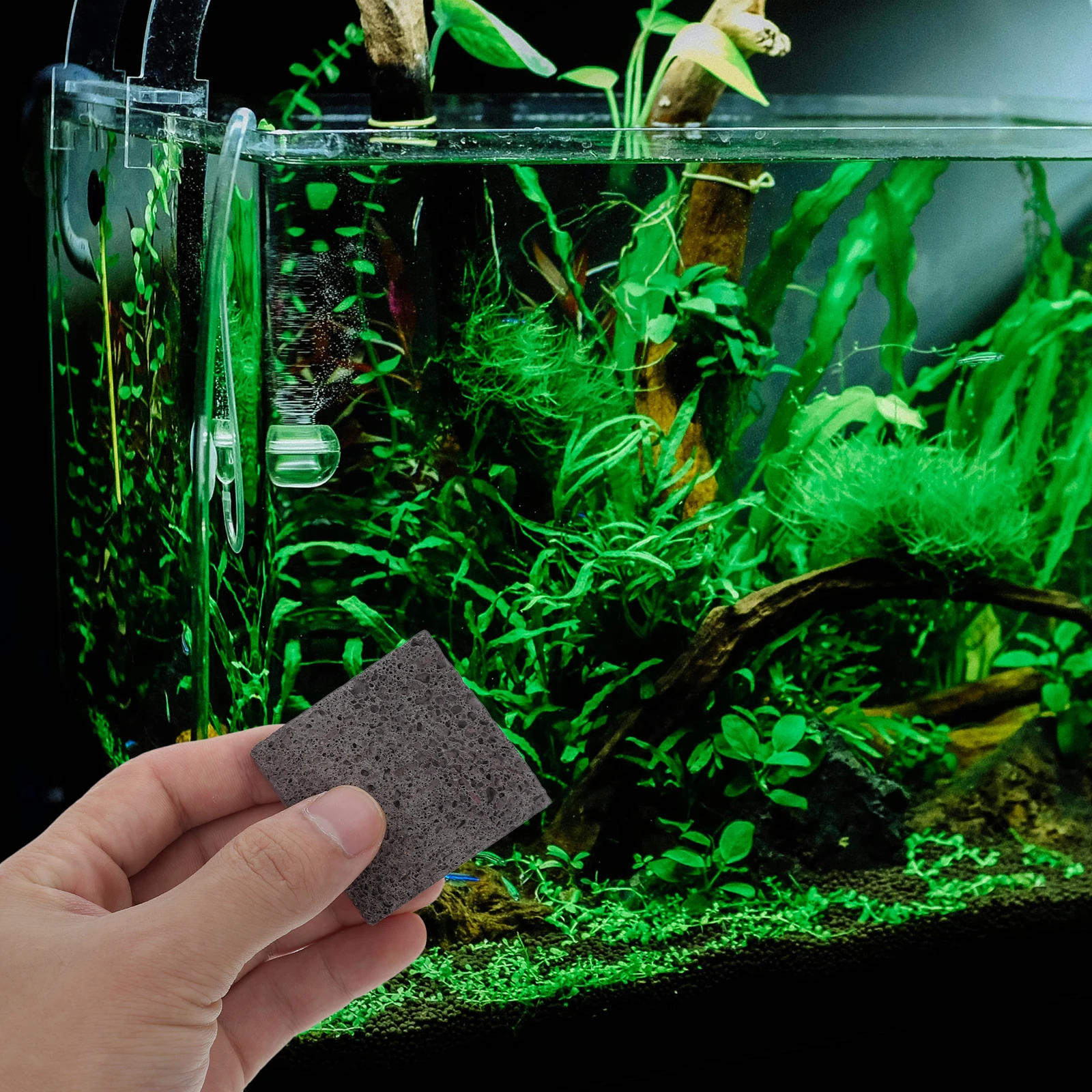 

3pcs 3 Pieces Aquatic Planting Film Volcanic Rock Decor Aquariums Moss Anubias Rocks Fish Tank Substrate Plants Pet