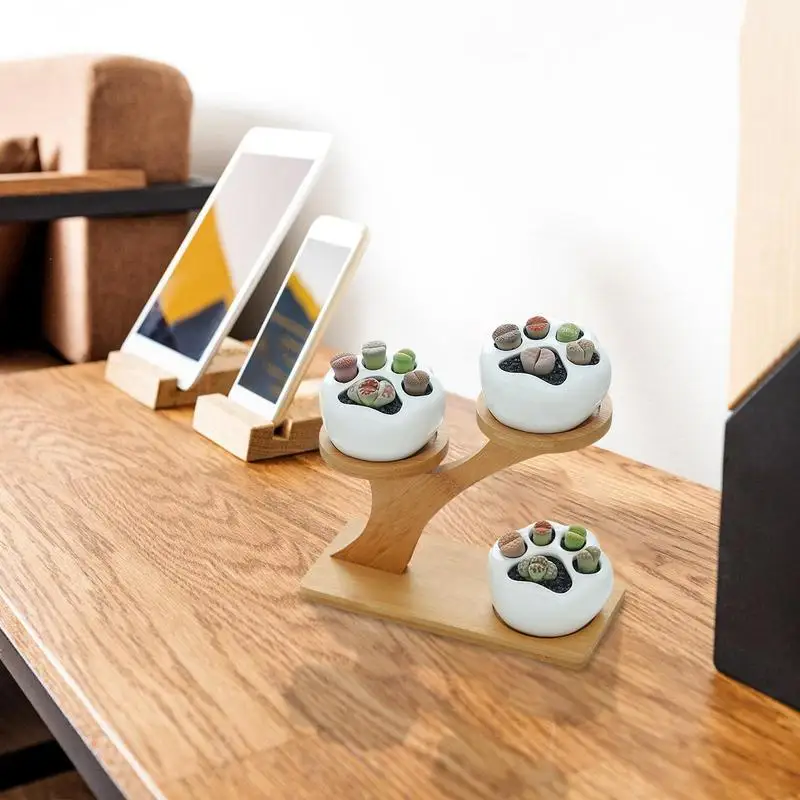 

Plant Stand for Bonsai Pot Durable 3 Layers Flowerpot Holder for Bookshelf Tabletop Anti deformed Planter Bamboo Tray
