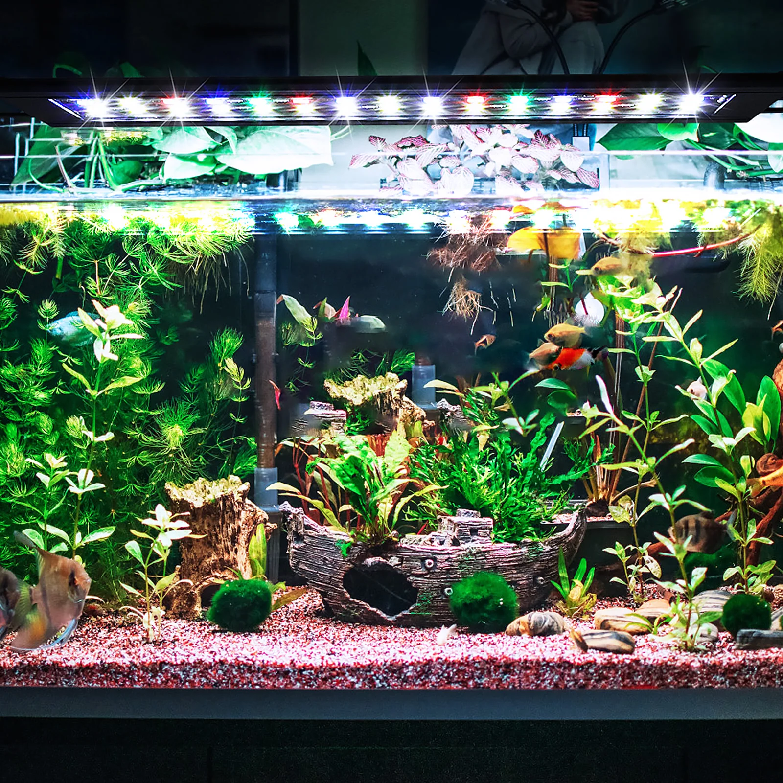 

Fish Tank Lights Lamp Aquarium for Blue and Betta Abs Lighting Plants