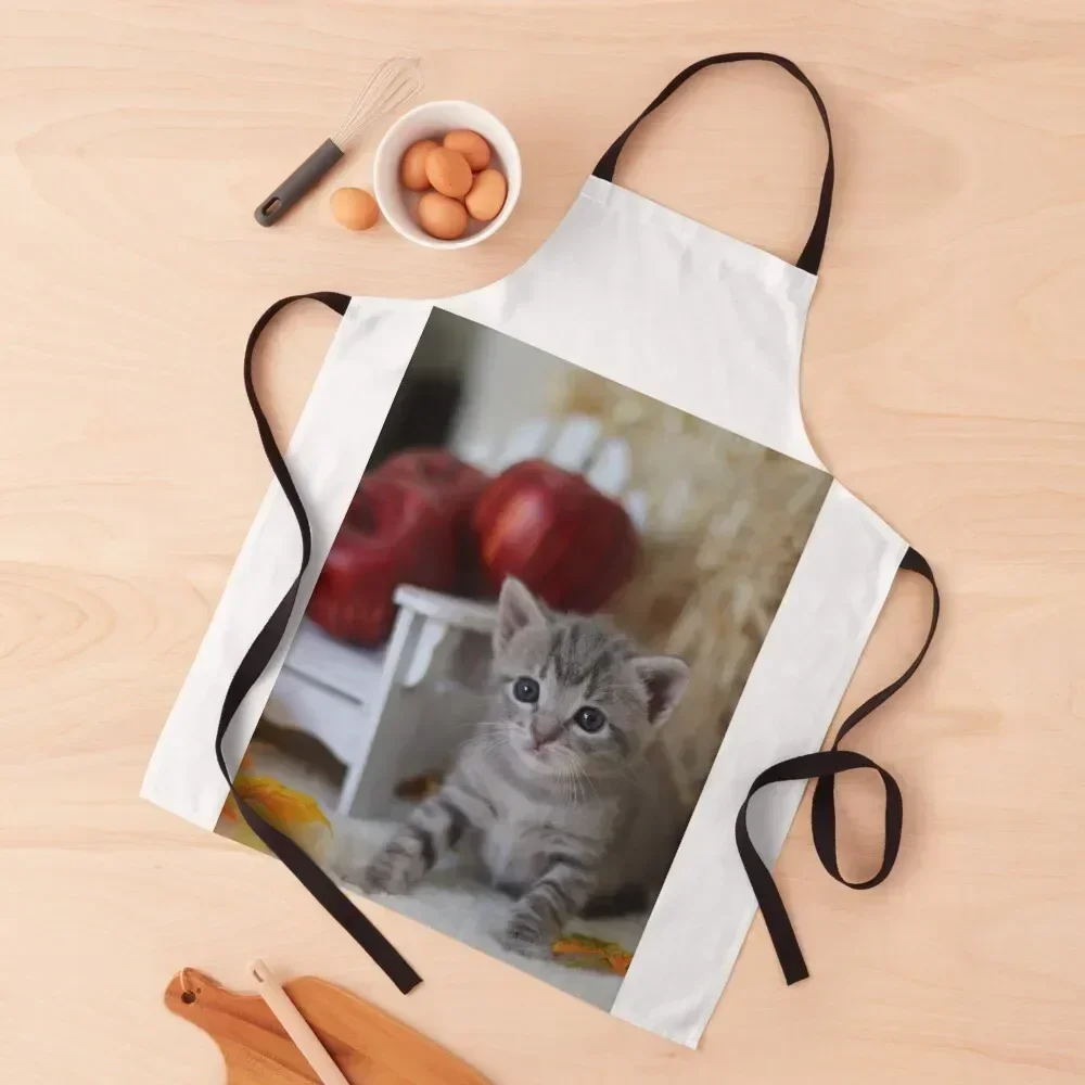 

LOTUS CAT in Autumn/Fall Apron Cute Kitchen Accessories Men's Kitchen For Men Apron