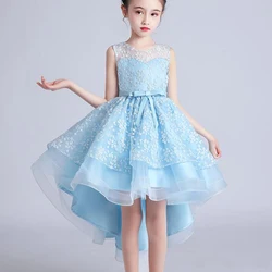 Embroidery Flower Dress Girls Wedding Party Princess Children Dresses Elegant Baby Kids Christmas Vestidos For Girls Clothing