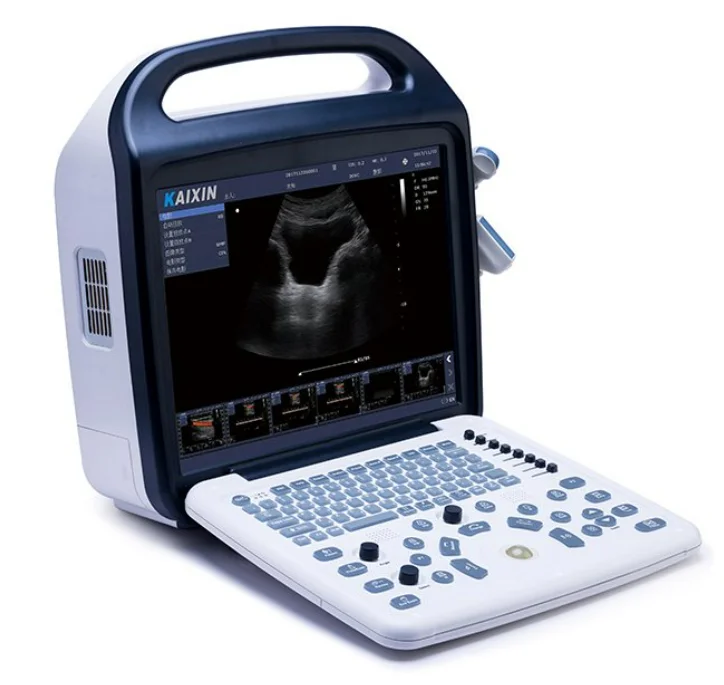 Multifunctional Digital Black White Ultrasound Scanner Dogs Adjustable Veterinary Echocardiography Laptop Reusable DCU10