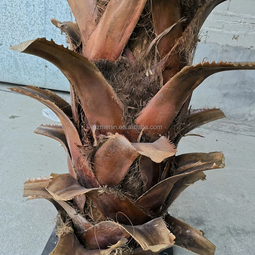 Pohon Kelapa Buatan Dekoratif Luar Ruangan Untuk Dekorasi Proyek