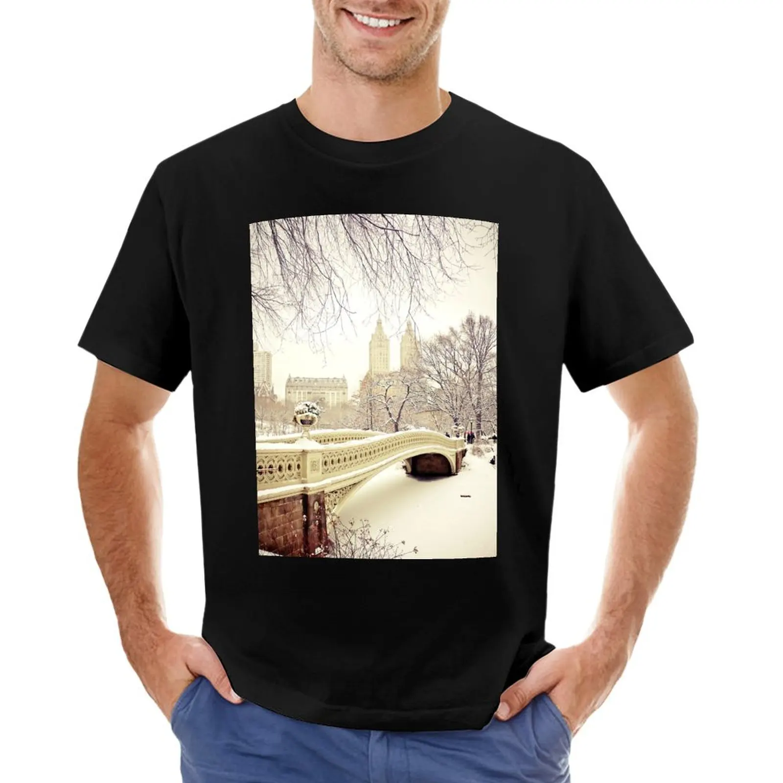 Winter in Central Park T-Shirt Blouse heavyweights men graphic t shirts