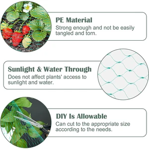 20 / 10M مكافحة الطيور حماية صافي شبكة حديقة نبات المعاوضة حماية نباتات الدواجن وأشجار الفاكهة الغزلان الدواجن أفضل المبارزة أعلى 8 مبيعات شبكة شجرة الفاكهة - No8