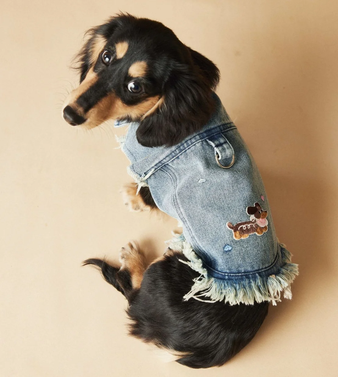 Sleeveless Cowboy Vest Dog Tank Top Tony Bears Teddy Schnauzer Marquis Love Spring Summer New Fashionable Dog Vest for Spring Su view 5