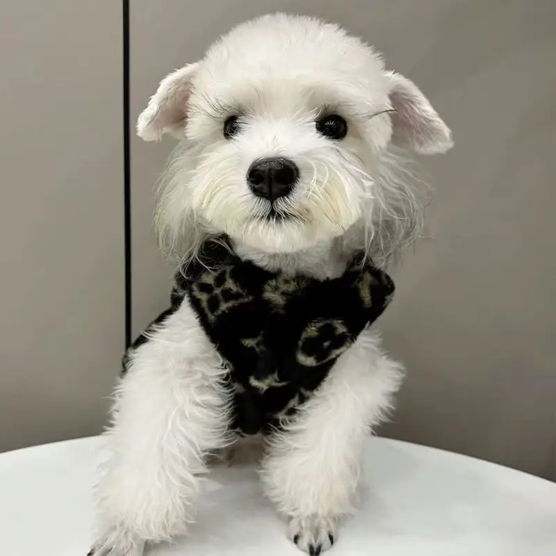 

Pet Dogs clothes Autumn and Winter Coat Thickened Warm Sweater Vest Schnauzer Hair Small and Medium Dog Coat Clothing Supplies
