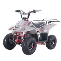 Gasoline Automatic Chain Drive Quad ATV 110cc With Reverse Gear