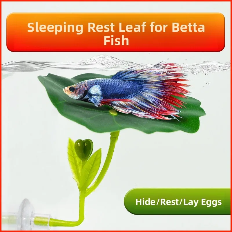 Decorative Reatic F… - image