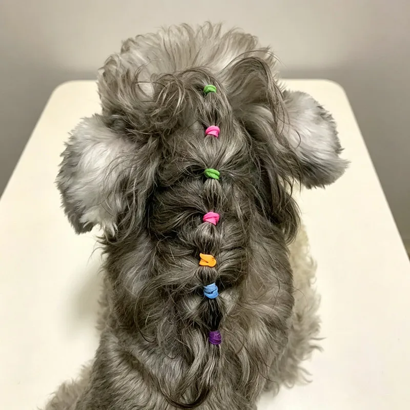Soft No Hurt Pet Hair Rubber Bands, Assorted Color Elastic Hair Ties for Long Hair Dog Cat Grooming Braiding Hairstyle