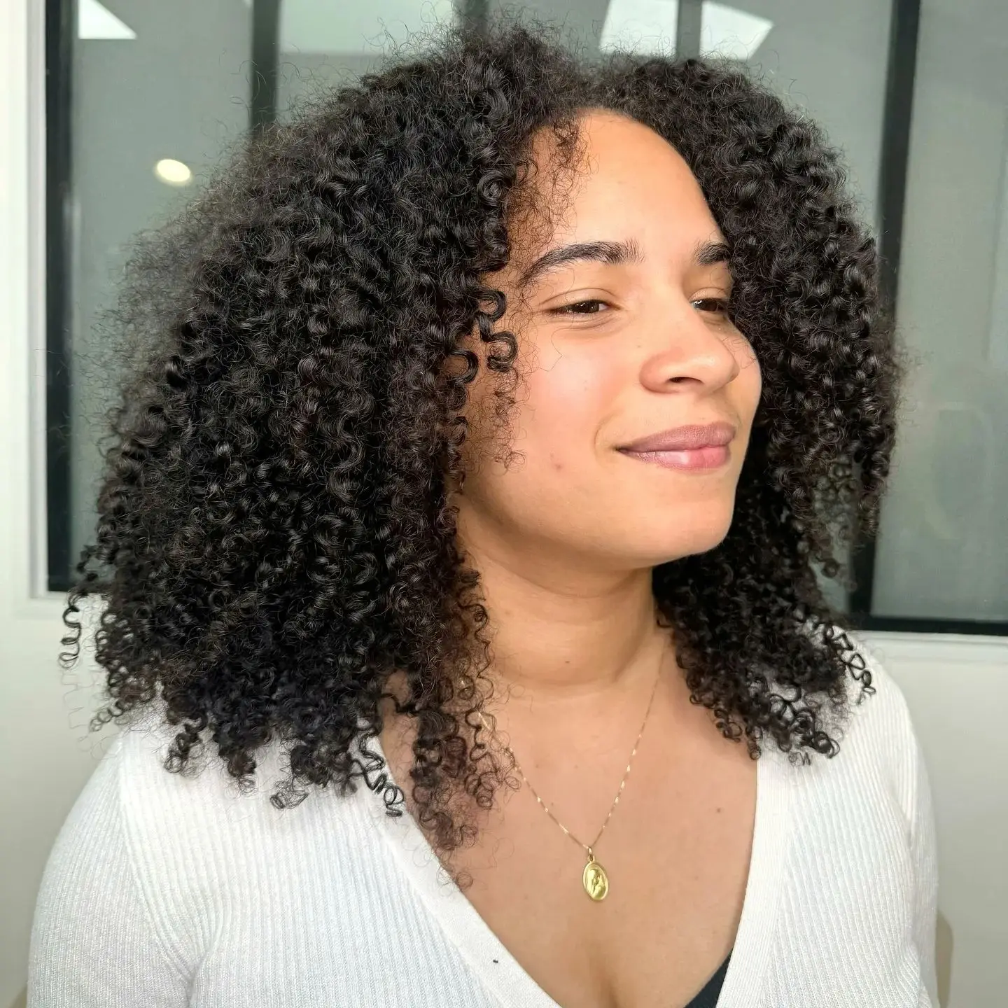 

Kinky Curly 4x4 Brown Lace Closure Wig 100% Human Hair Short Wig