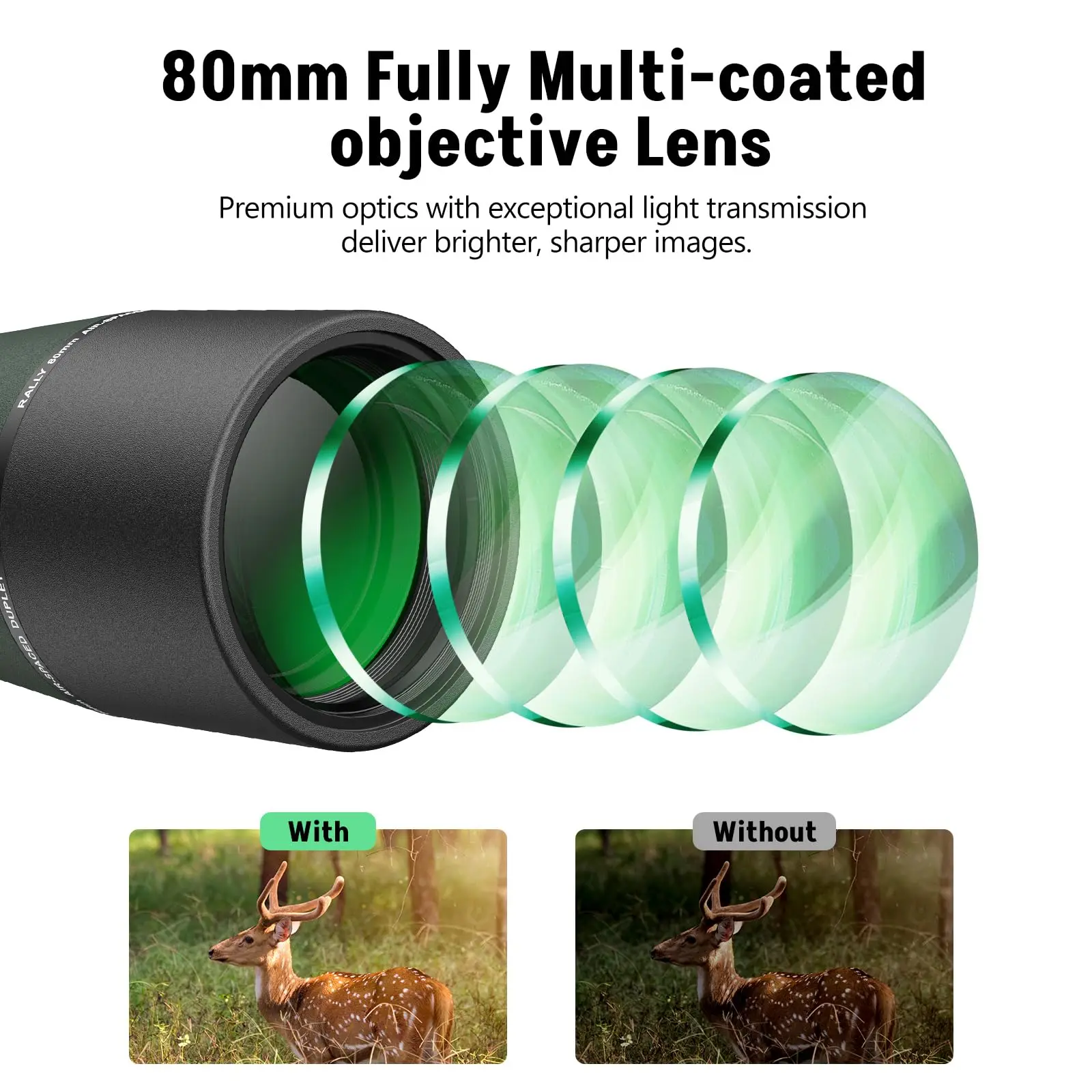 Spotter Scope zum Ansehen von Wildtieren 20-60x80 BAK4 Wasserdichtes Spektiv-Kit mit Stativ-Tragetasche und Telefonadapter Grün