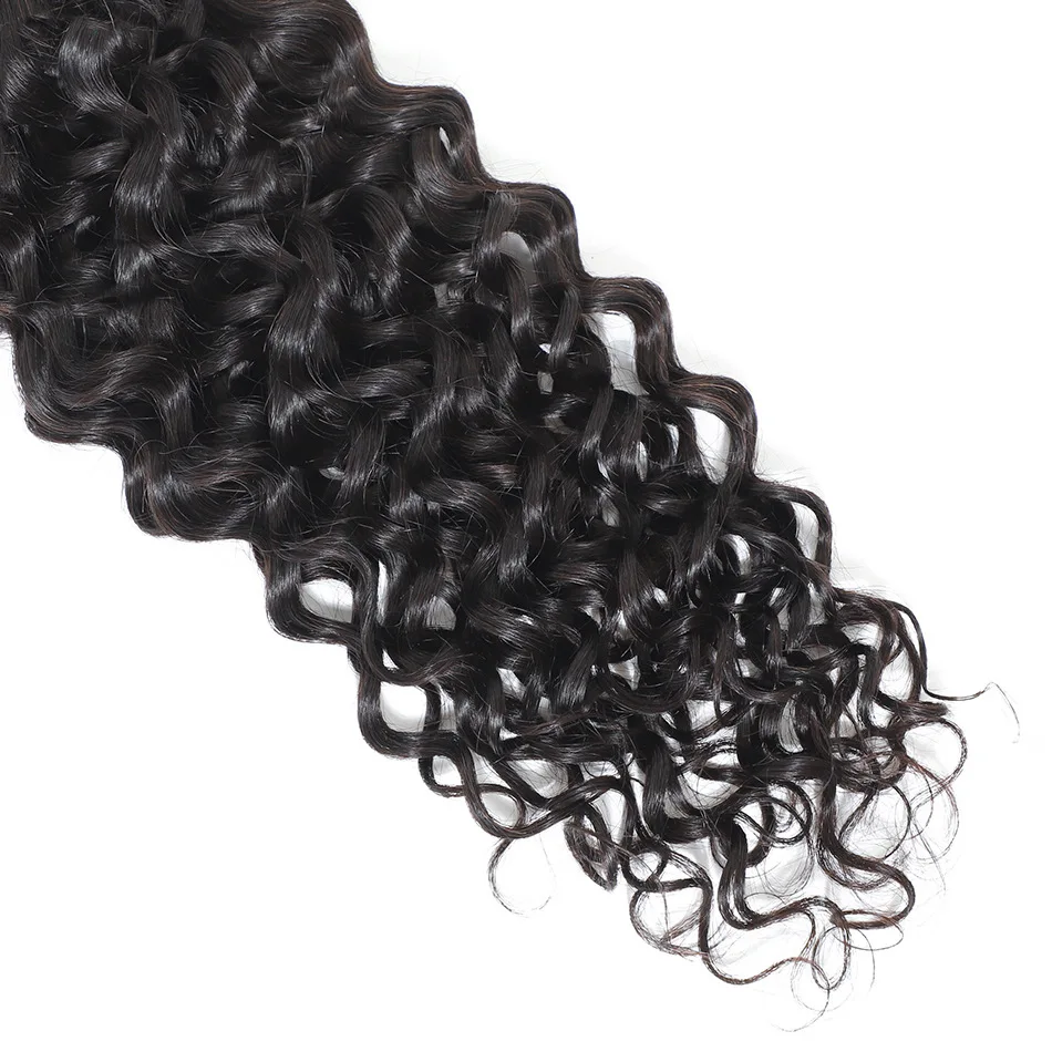 Water Wave Human Hair 4x4 Transparent Lace Closure Natural Color 150% Density 10-20 Inch Indian Virgin Hair Full End Pre-Plucked