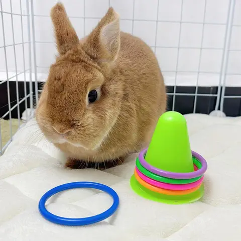 1 PC Random Ice Cream Cone Shaped Pet Rabbit Ferrule Toy To Relieve Boredom Interactive Training Chewable Toy for Small Animals