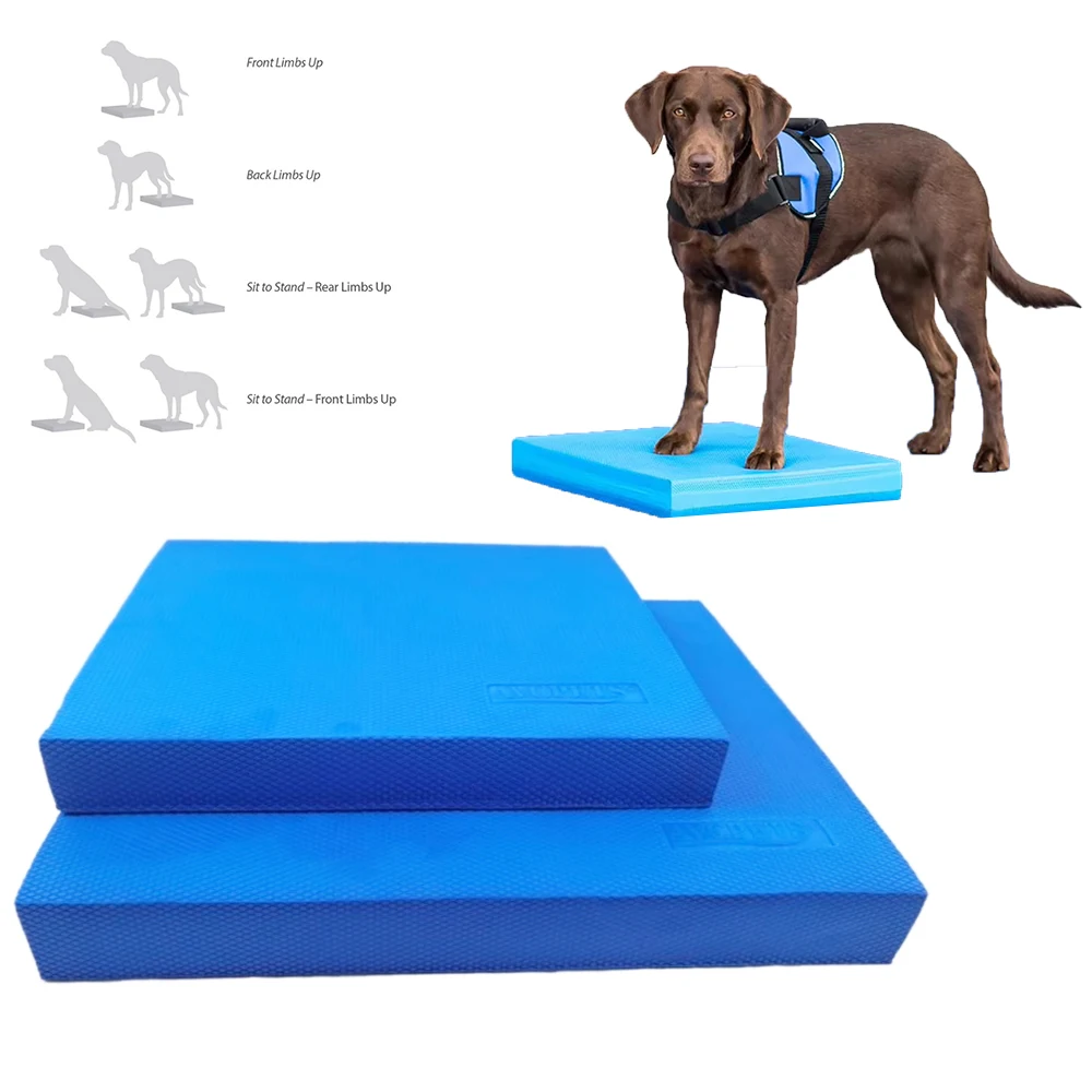 Pet Animals Rehabilitation Trainning Balance Cushion Ladder Daily Exercise Dog Cat Care Clinic Supplies